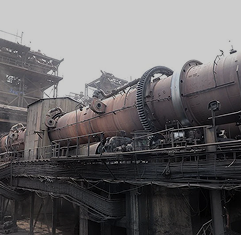 Dri Plants